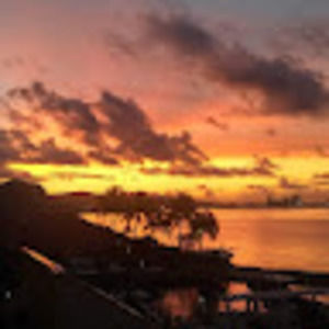 Meet your Posher, Phillip